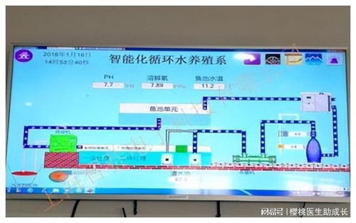 物联网技术在水产养殖系统中的应用 如何提升系统运行稳定性